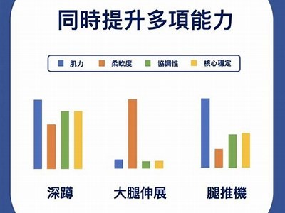 选择合适的深蹲器材，让你的锻炼更科学，深蹲的健身器材