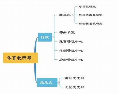 大学体育器材归属管理责任分工，学校体育器材归哪个部门