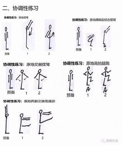 大学生自制体育器材攻略，简单实用有效，如何自制体育器材