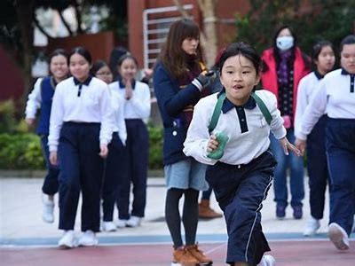 《大庆中小学体育器材采购与管理指南》，学校体育器材清单价格